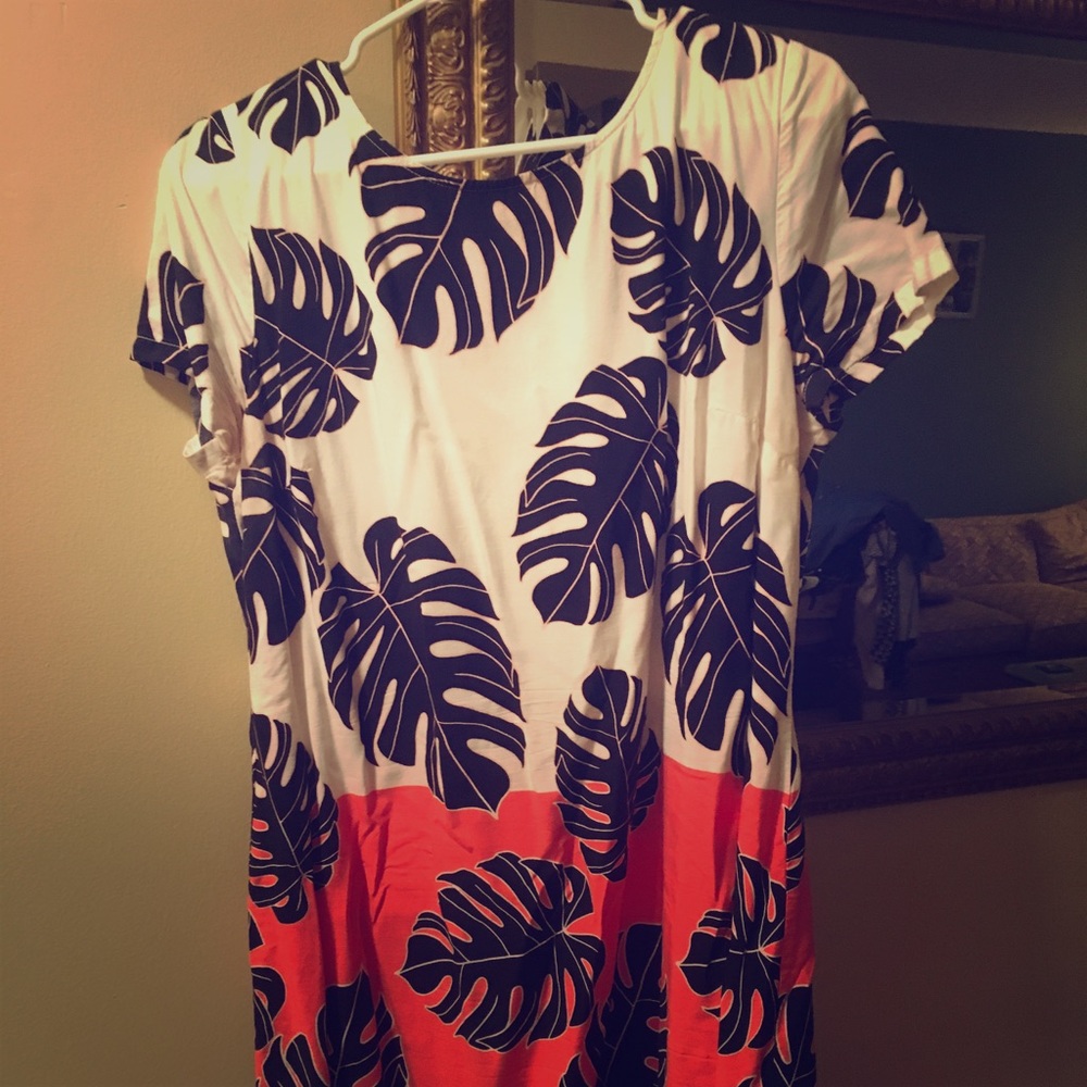 Patterned shift dress - looks great with a blazer!